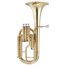 Jp Instruments Jp072Mkii E♭ Tenor Horn Starter Model Outfit