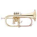 Jp Instruments Jp175 B♭ Flugelhorn Outfit