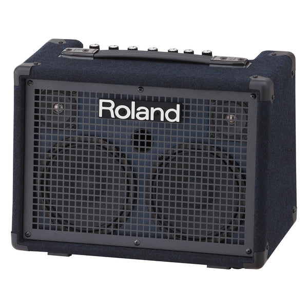 Roland Kc220 30W Battery Powered Keyboard Combo Amplifier
