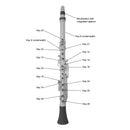 Nuvo Clarineo small silver key cap