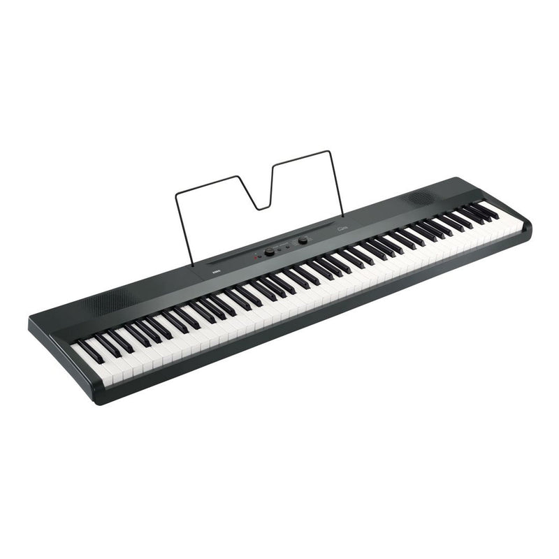 Korg L1 Liano portable digital piano - Grey
