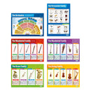 Instruments of the Orchestra Set of 6 Posters - Laminated