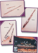 Musical Instrument Families - Woodwind. Pack of 8 posters