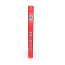 pCorder descant recorder