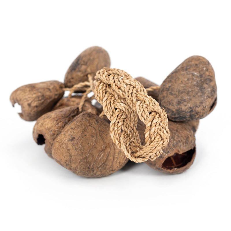 Percussion Plus Honestly Made Stringed seed shaker