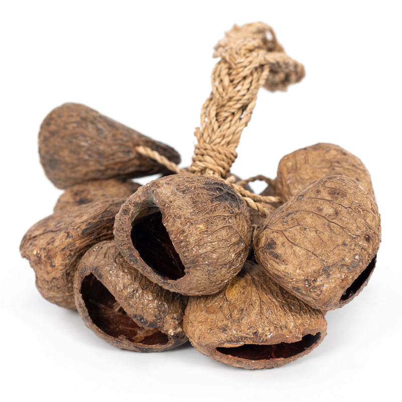 Percussion Plus Honestly Made Stringed seed shaker