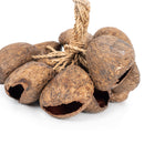 Percussion Plus Honestly Made Stringed seed shaker