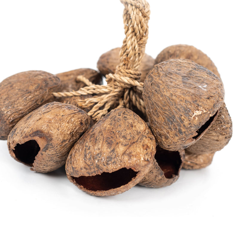 Percussion Plus Honestly Made Stringed seed shaker