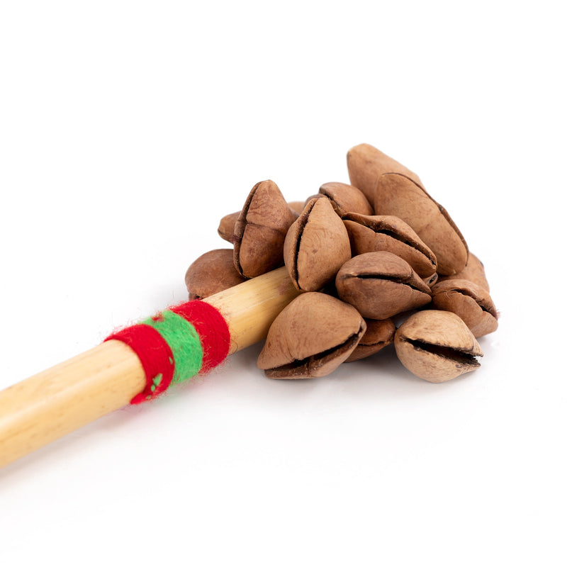 Percussion Plus Honestly Made Seed shaker with handle