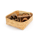 Percussion Plus Honestly Made home music making kit ‚Äì 5 instruments