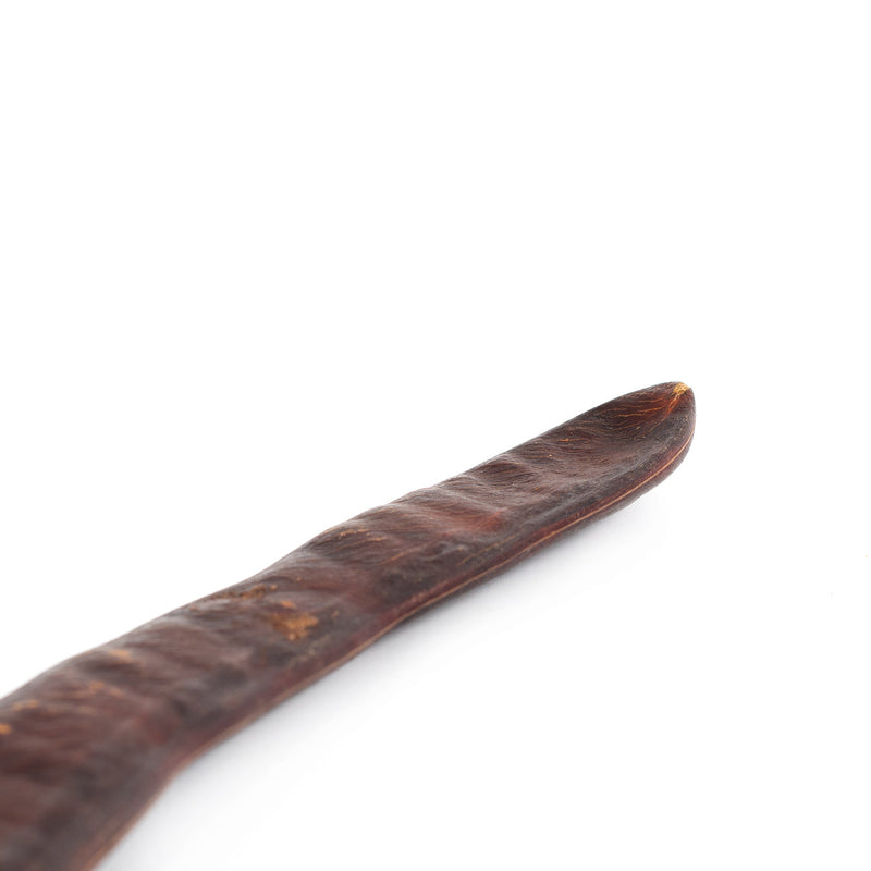 Percussion Plus Seed Pod Shaker