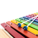 Percussion Plus Harmony bass xylophone with coloured note bars