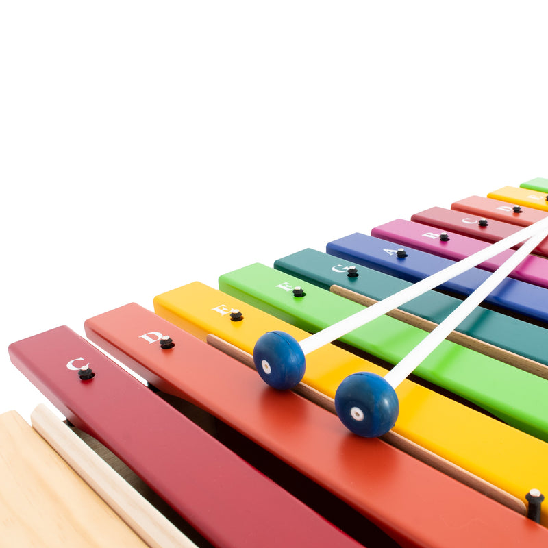 Percussion Plus Harmony bass xylophone with coloured note bars