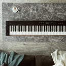 Casio Privia PX-S6000 digital piano