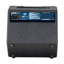 Laney Richter Series 15W Bass Guitar Solid State Amplifier
