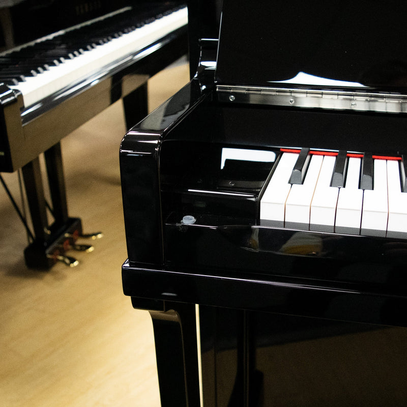 Irmler 'Supreme' Sp125 Upright Piano In Polished Ebony