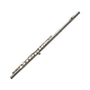 Trevor James Tj5X Straight Head Student Flute Outfit