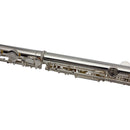 Trevor James Tj5X Straight Head Student Flute Outfit