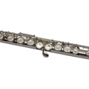 Trevor James Tj5X Straight Head Student Flute Outfit