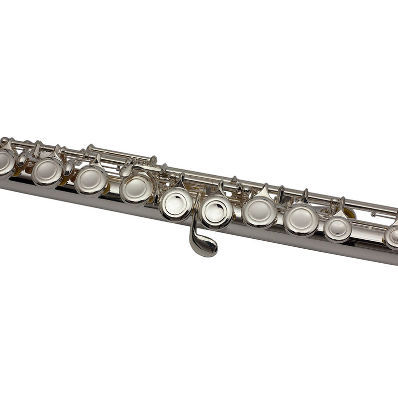 Trevor James Tj5X Straight Head Student Flute Outfit