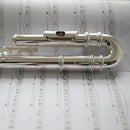 Trevor James 10XE-P student flute outfit with curved & straight heads