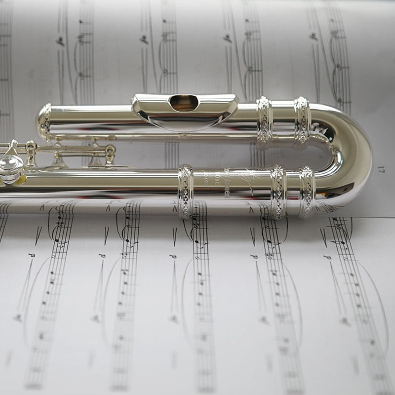 Trevor James 10XE-P student flute outfit with curved & straight heads