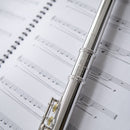 Trevor James 10XE-P student flute outfit