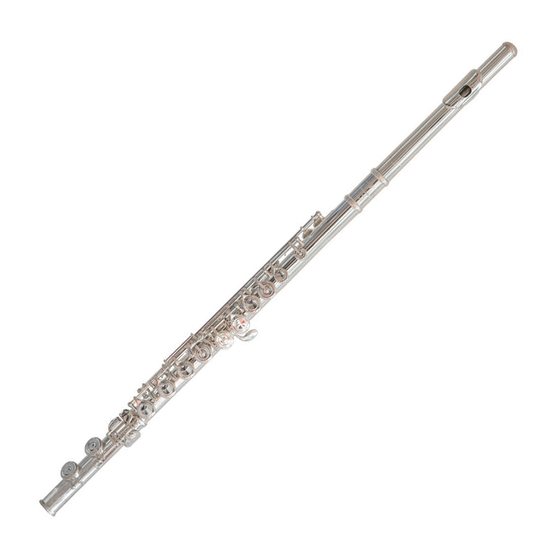 Trevor James 10XE-P student flute outfit