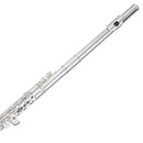 Trevor James 31Cf Cantabile Flute Outfit