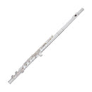 Trevor James Virtuoso intermediate flute outfit
