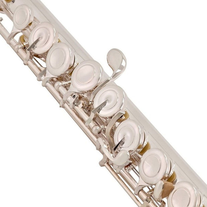 Trevor James Virtuoso intermediate flute outfit