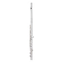 Trevor James Virtuoso intermediate flute outfit