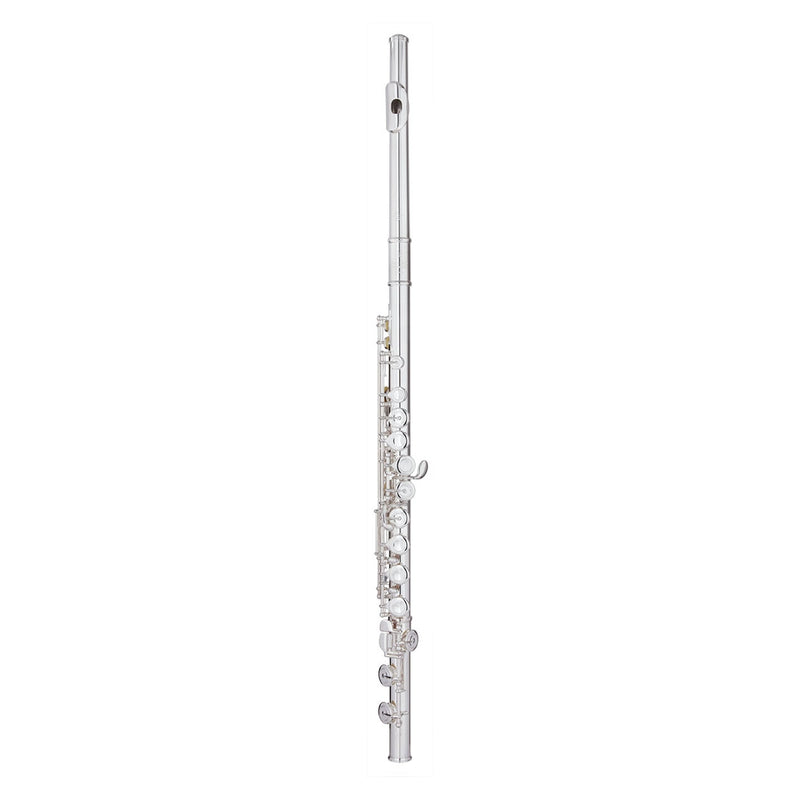 Trevor James Virtuoso intermediate flute outfit