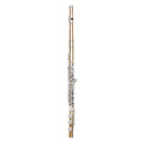 Trevor James copper body step-up flute outfit with B-foot