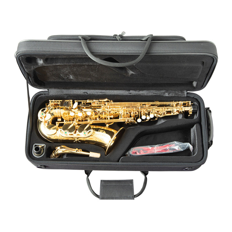 Trevor James The Horn E♭ Alto Saxophone Outfit