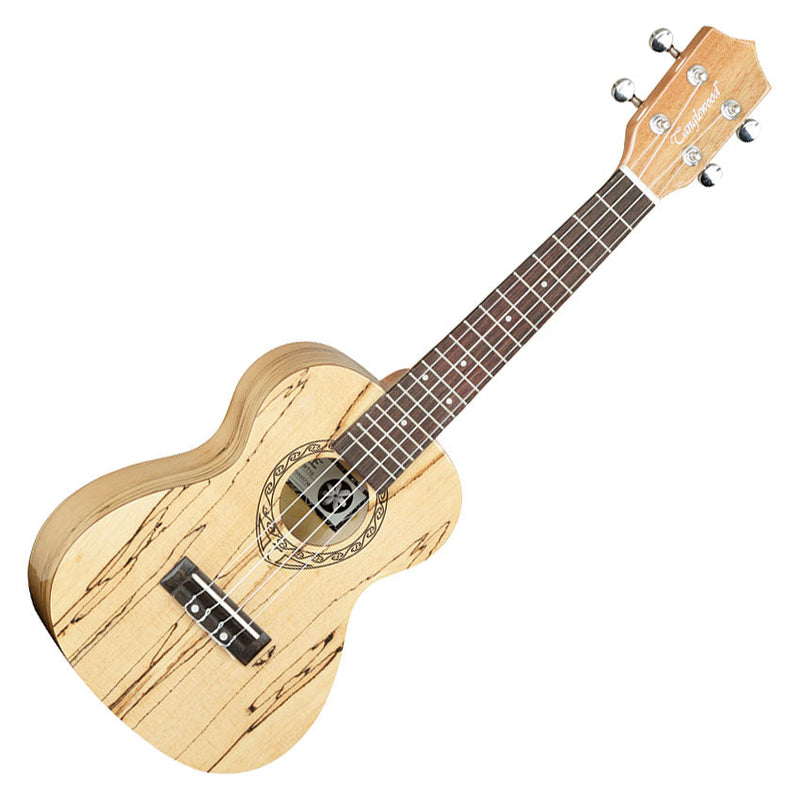 Tanglewood Tiare 10 concert ukulele