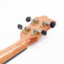 Octopus Electro-Acoustic Ukulele - Concert