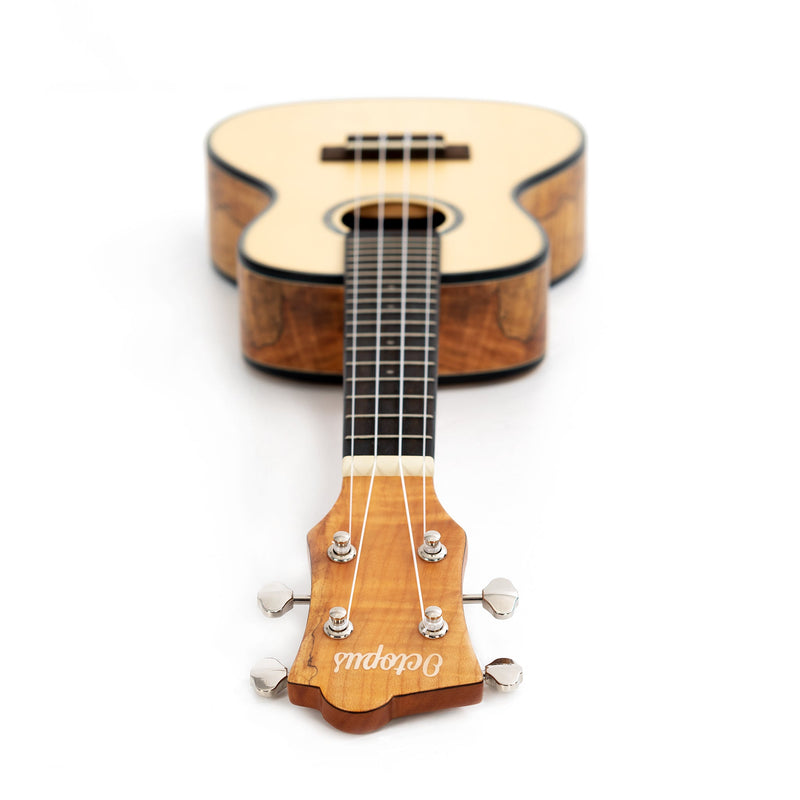 Octopus Spalted maple with solid spruce top concert ukulele