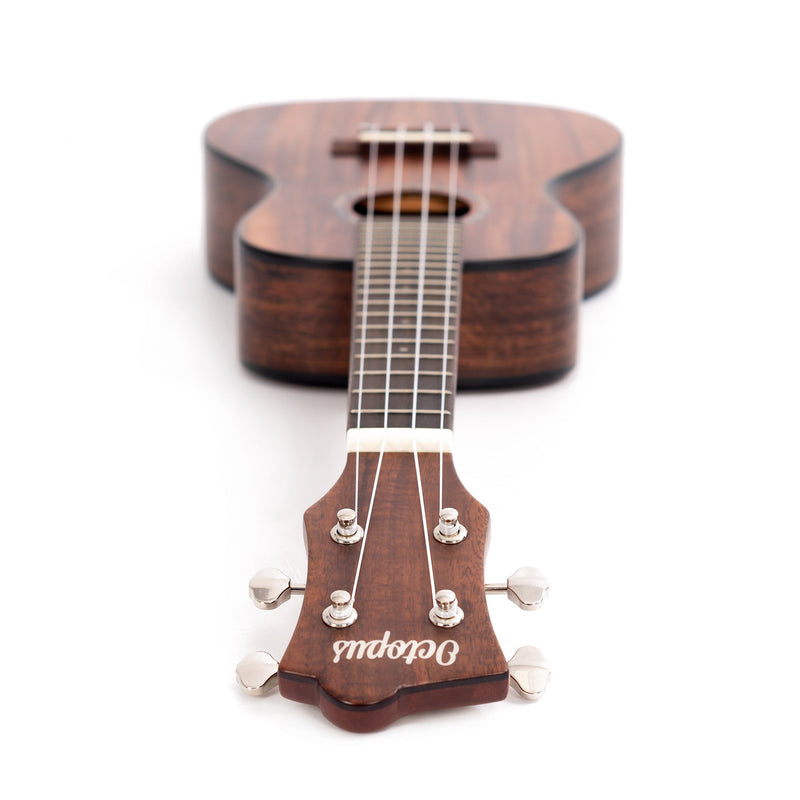 Octopus All solid acacia concert ukulele