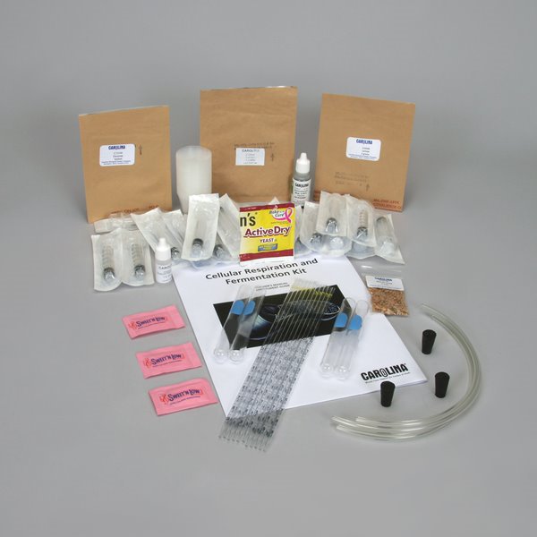 Cellular Respiration &amp; Fermentation Kit