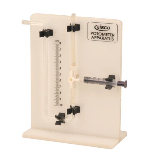 Potometer Apparatus (on White Stand) (Each)