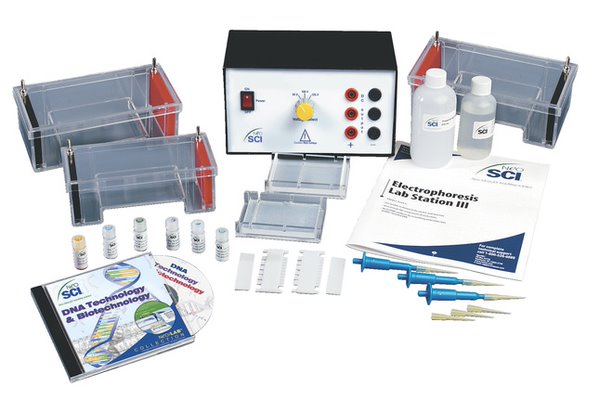 Electrophoresis Lab Station III