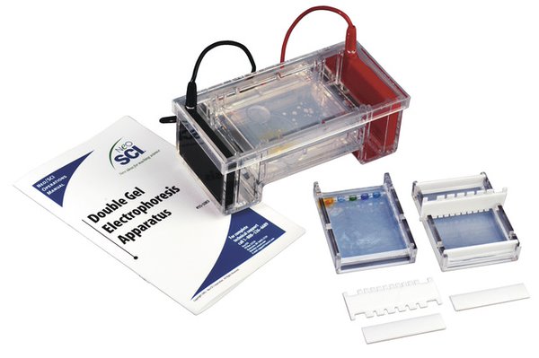 Double Gel Electrophoresis Apparatus (Each)