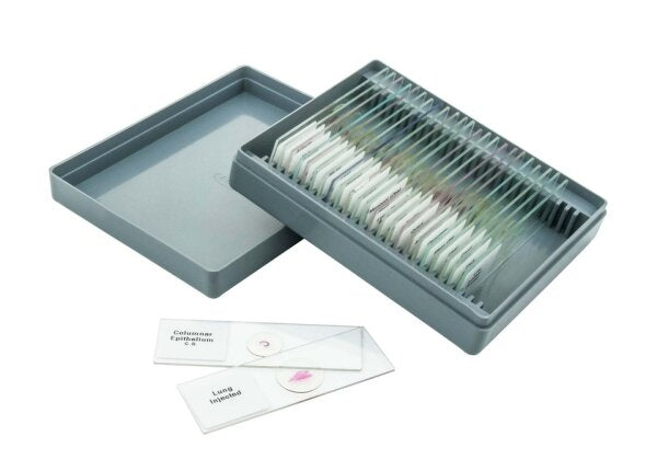 Gcse Sample Set Basic GCSE Slide Set of 25 (Each Set )