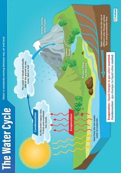 Poster, Water Cycle (Each)