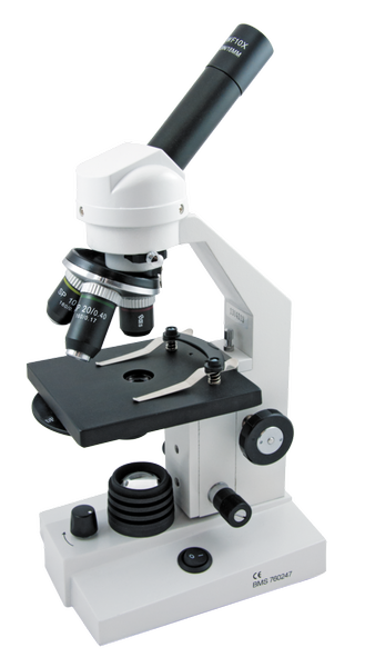 Microscope, BMS Polarizing 1001RMS (Each)