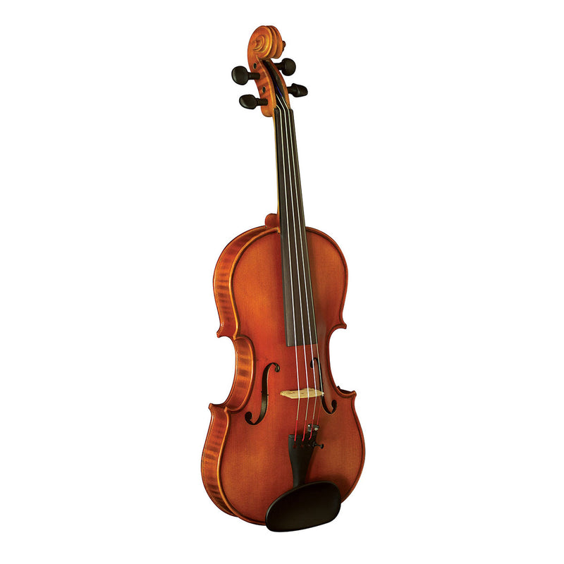 Hidersine Vivente Academy finetune full size violin outfit - 1/4 size