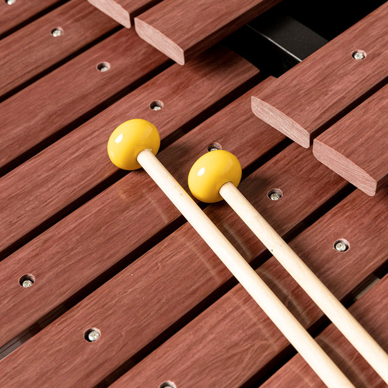 Stagg 37-Key Desktop Synthetic Xylophone Set