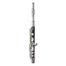 Yamaha Ypc32 Piccolo Outfit