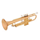 Yamaha YTR6335 Commercial series Bb trumpet outfit